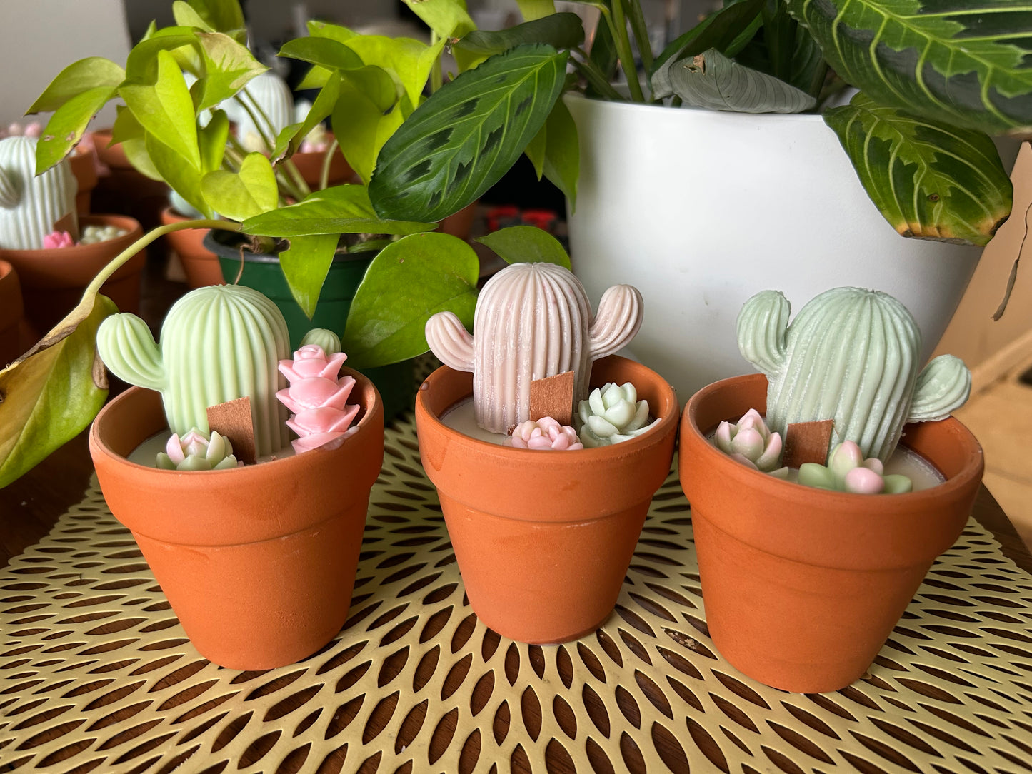 9 oz Soy Wax Candle in  3.15" Terracotta Pot