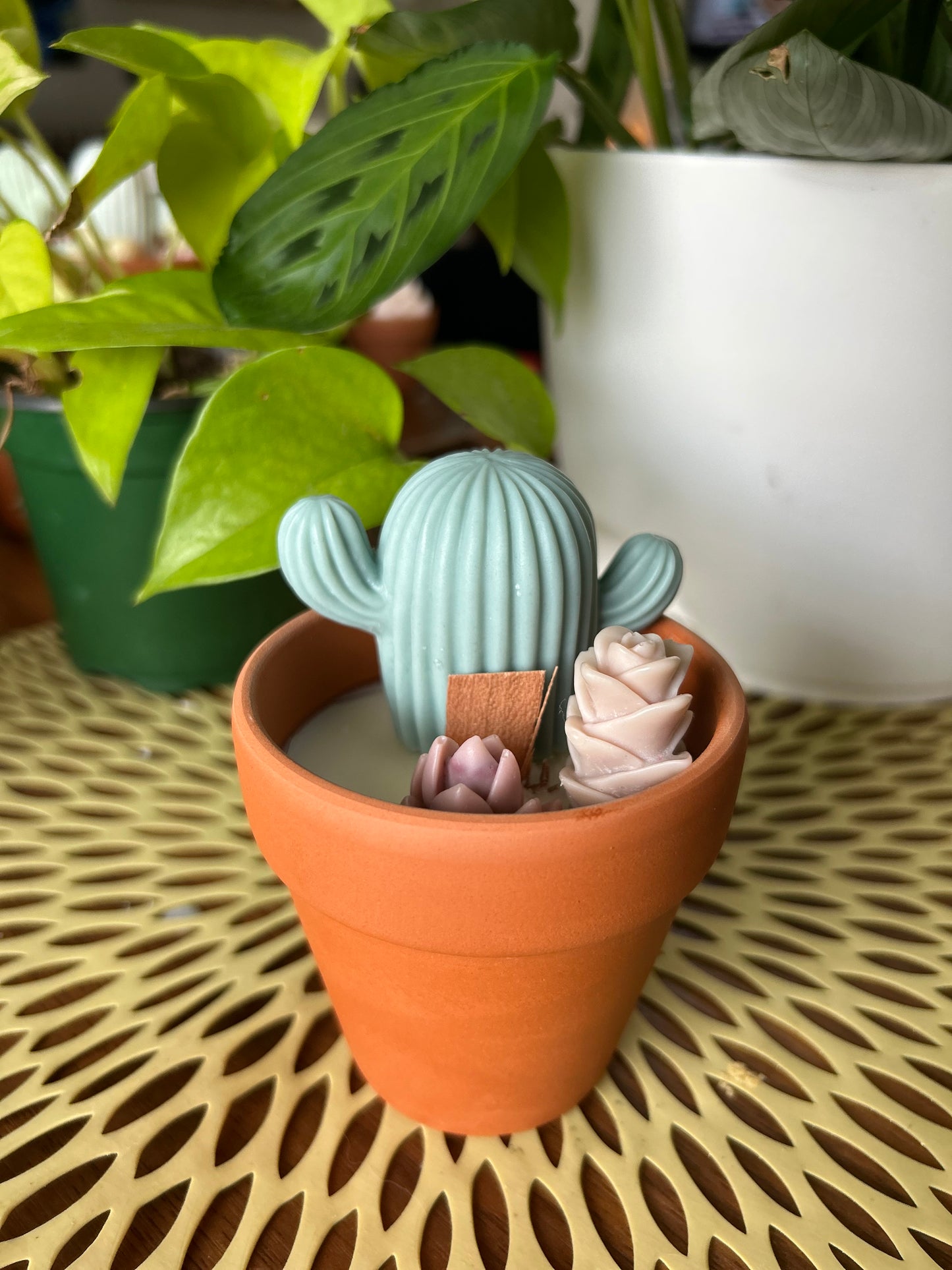 9 oz Soy Wax Candle in  3.15" Terracotta Pot