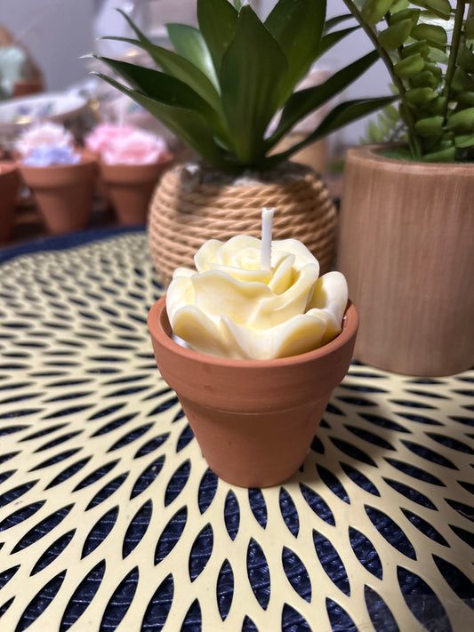 4 oz Soy Wax Candle in 2" Terracotta Pot
